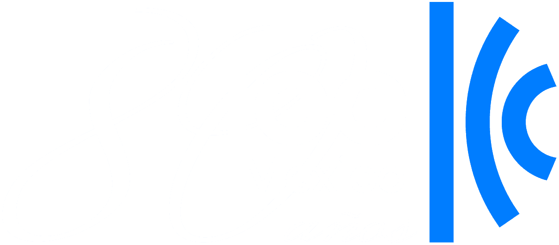 Cámara de Comercio Internacional logo oficial