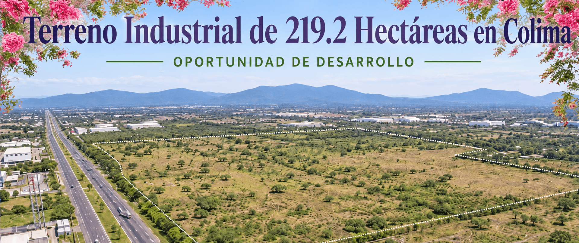 Vista aérea del terreno industrial en Colima